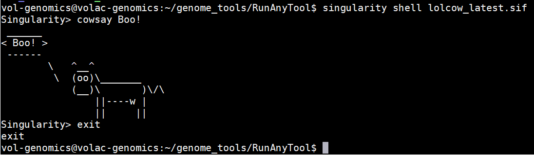 run cowsay inside container